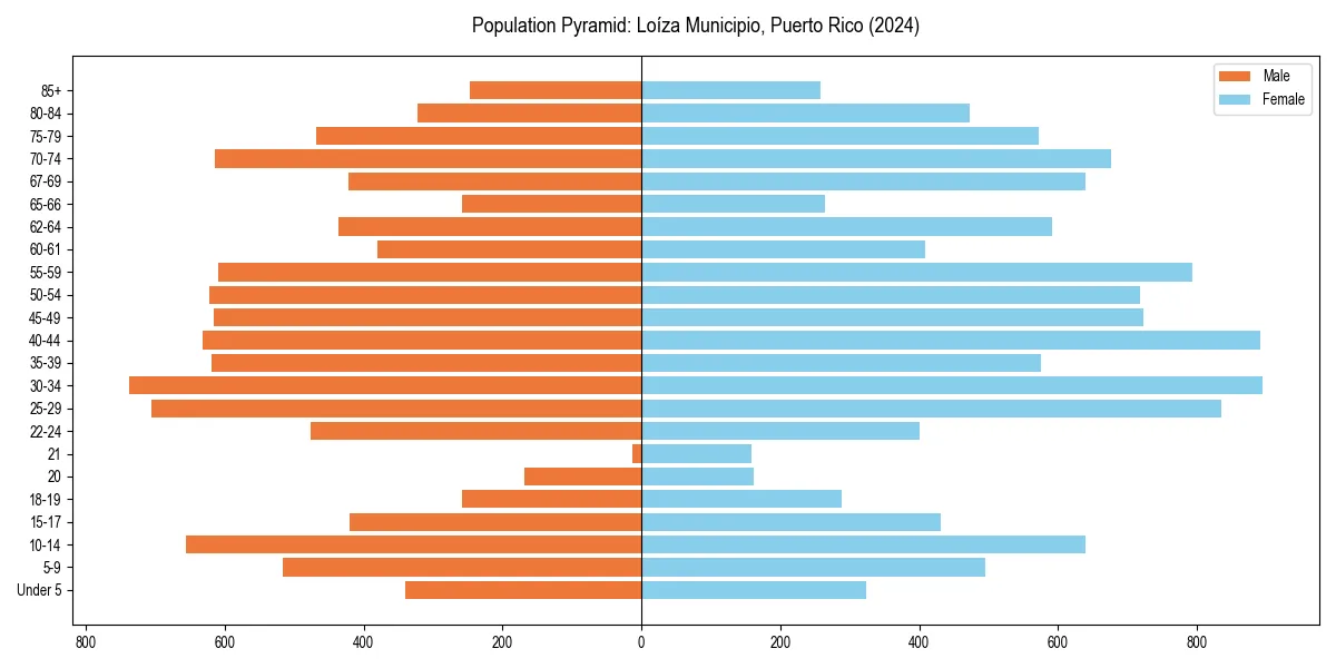 Population pyramid for 