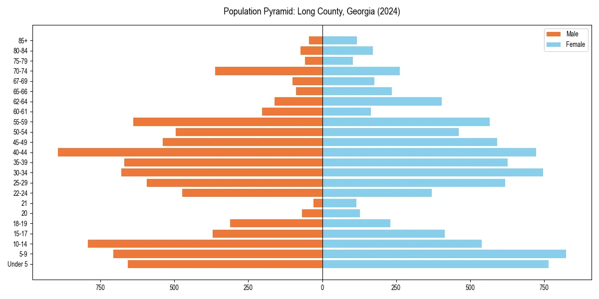 Population pyramid for 