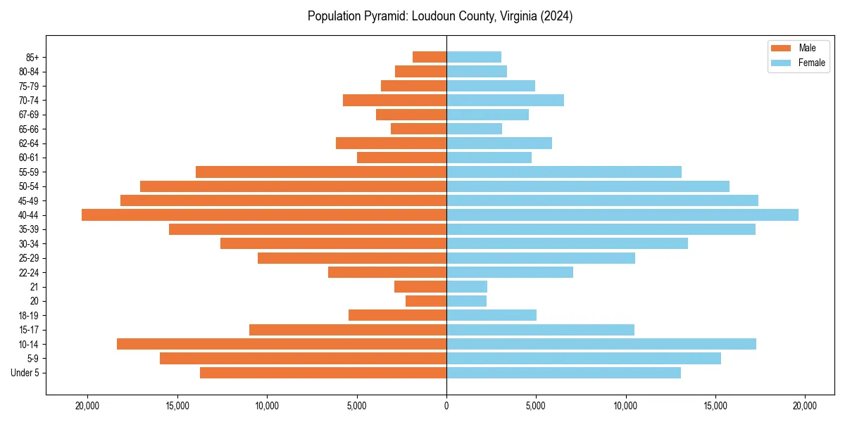 Population pyramid for 