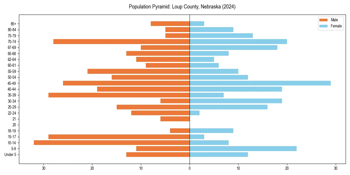 Population pyramid for 