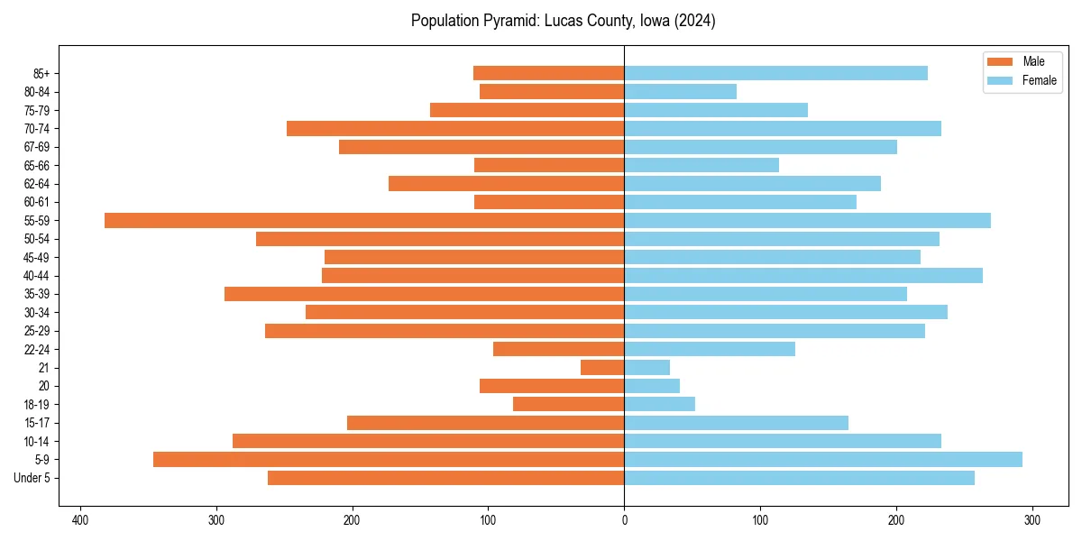 Population pyramid for 