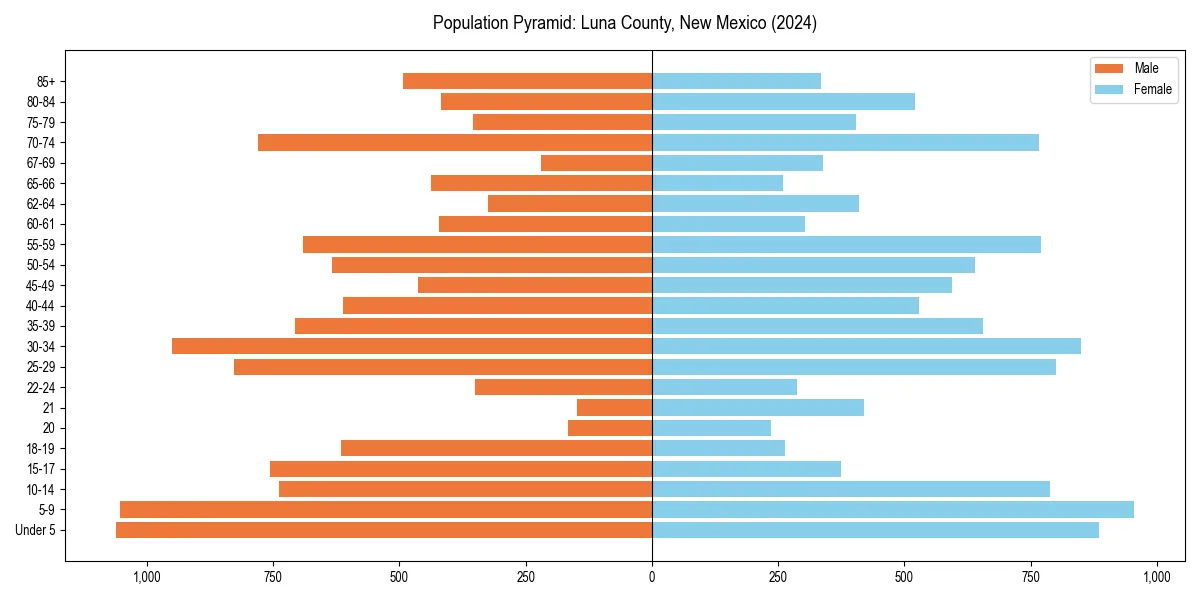 Population pyramid for 