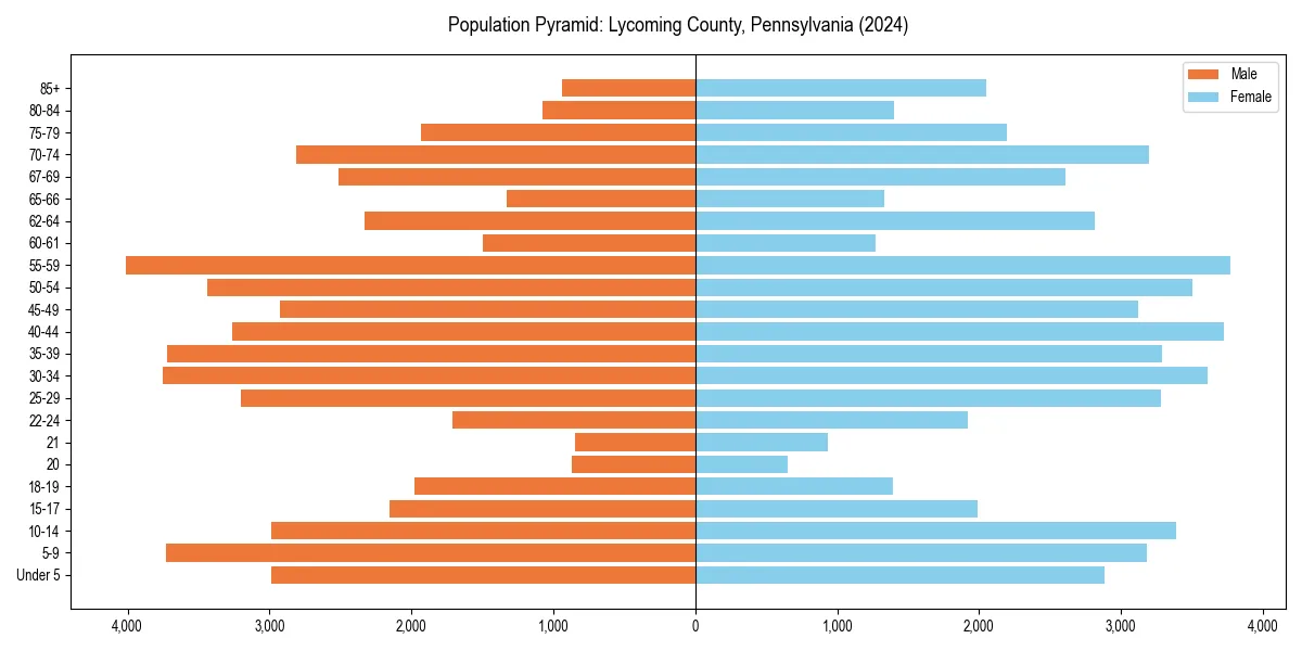 Population pyramid for 