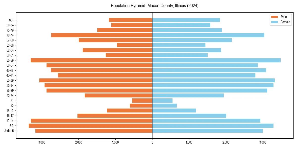 Population pyramid for 