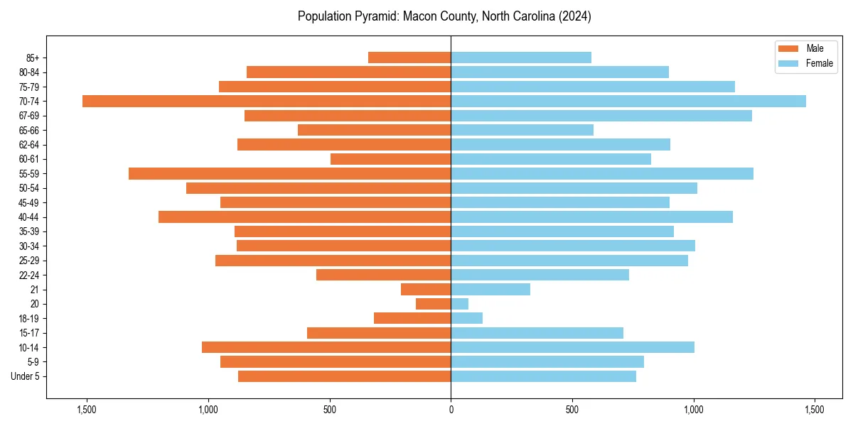 Population pyramid for 