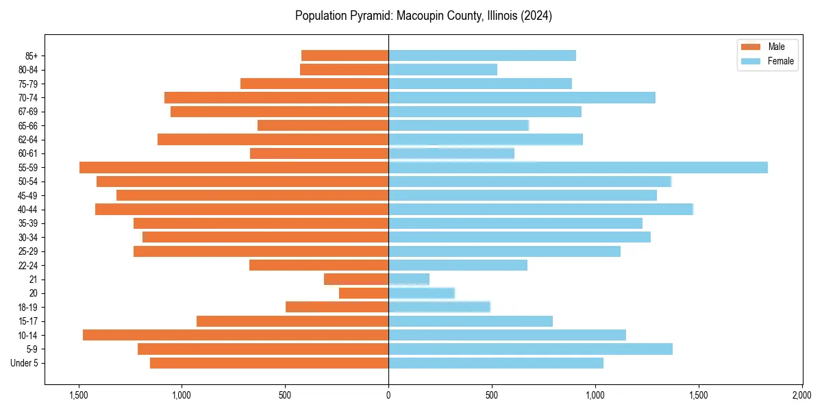 Population pyramid for 