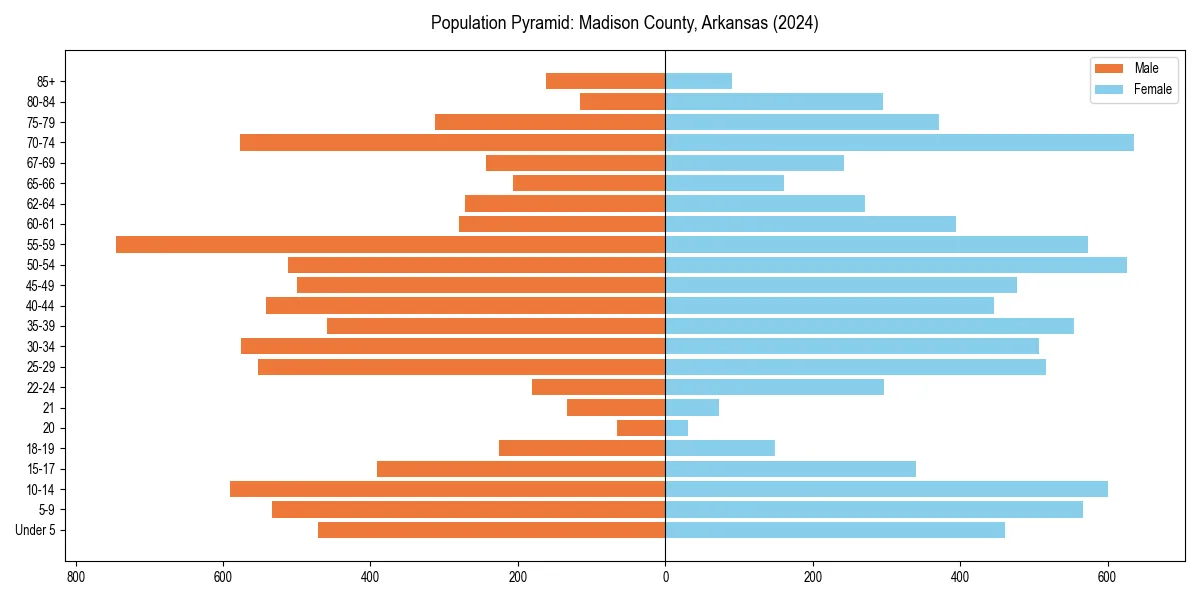Population pyramid for 