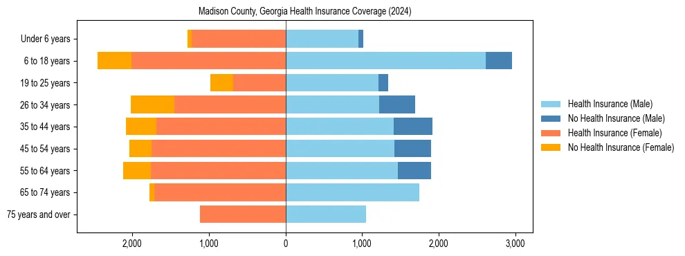 Health insurance pyramid for Madison County, Georgia
