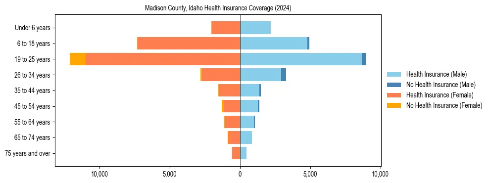Health insurance pyramid for Madison County, Idaho
