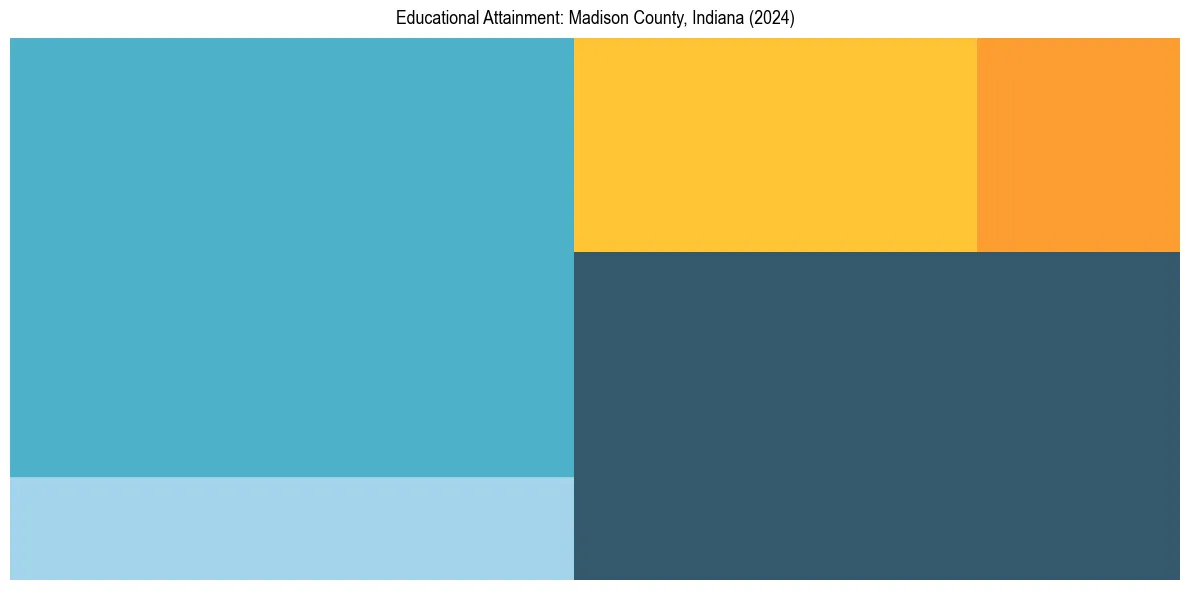 Education Treemap for  in 2024