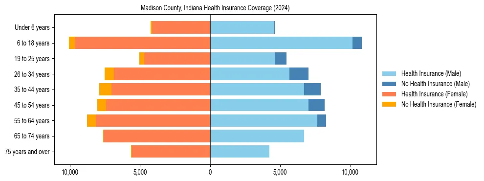 Health insurance pyramid for Madison County, Indiana