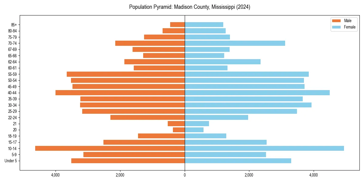 Population pyramid for 
