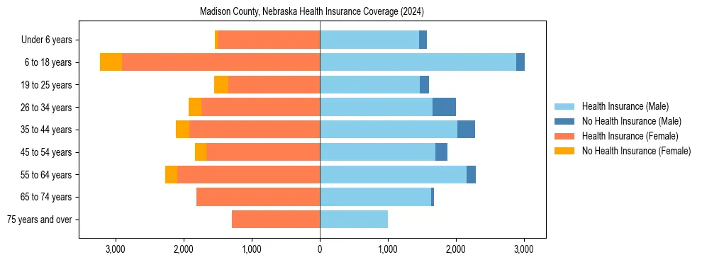 Health insurance pyramid for Madison County, Nebraska