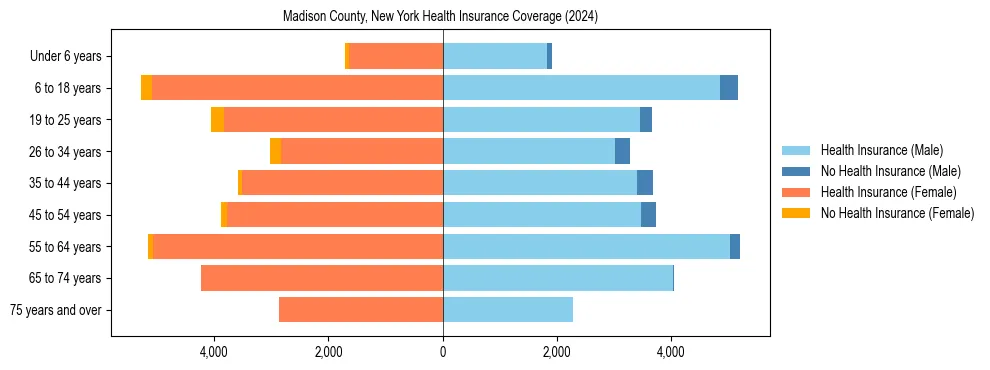 Health insurance pyramid for Madison County, New York