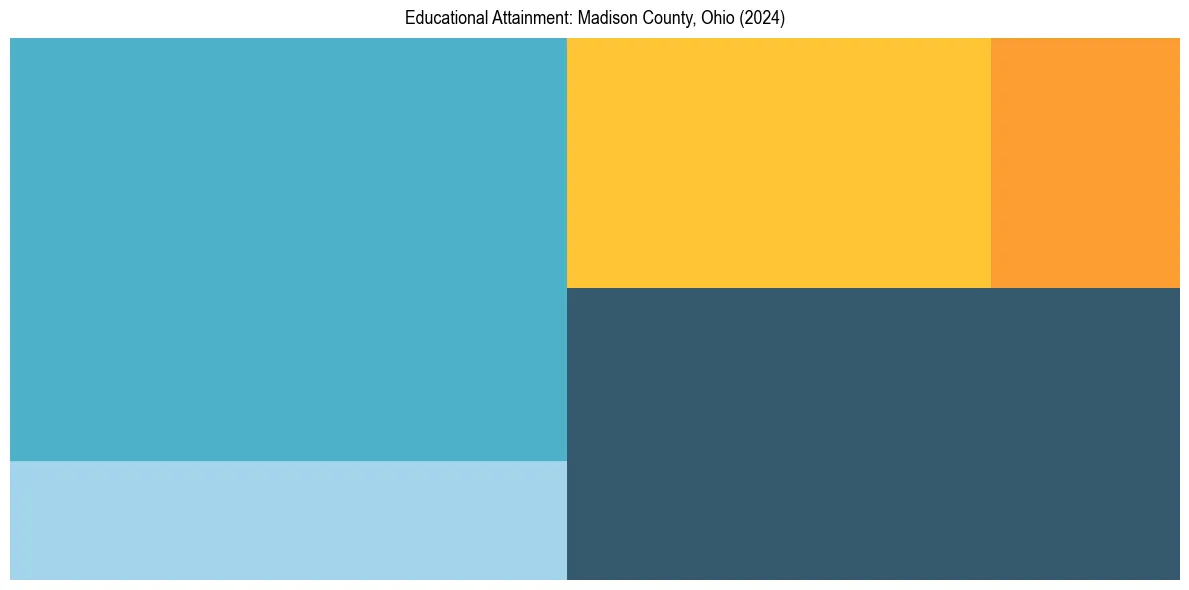 Education Treemap for  in 2024