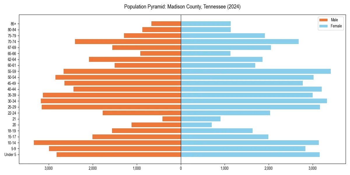Population pyramid for 