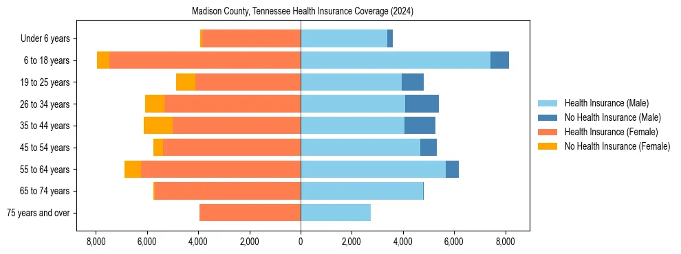 Health insurance pyramid for Madison County, Tennessee