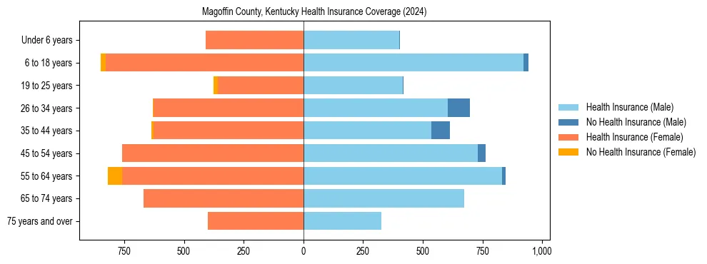 Health insurance pyramid for Magoffin County, Kentucky