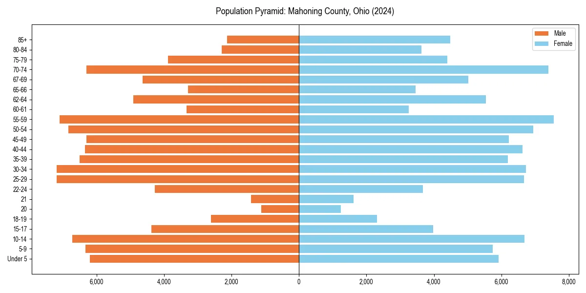 Population pyramid for 