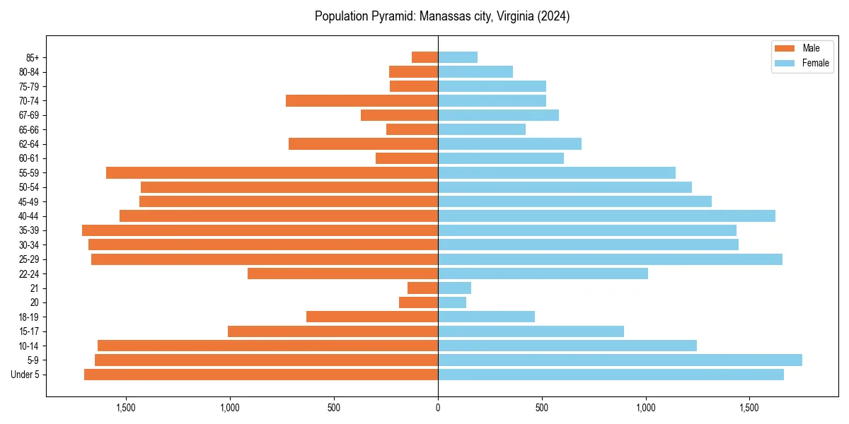 Population pyramid for 
