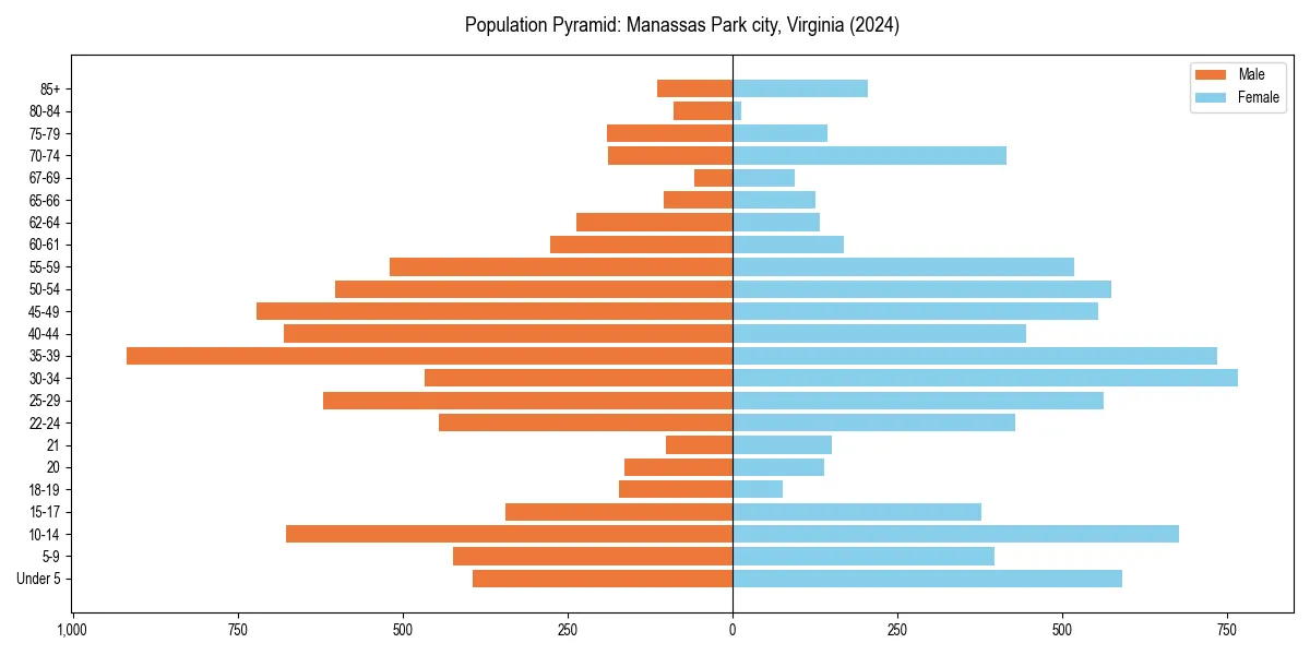 Population pyramid for 