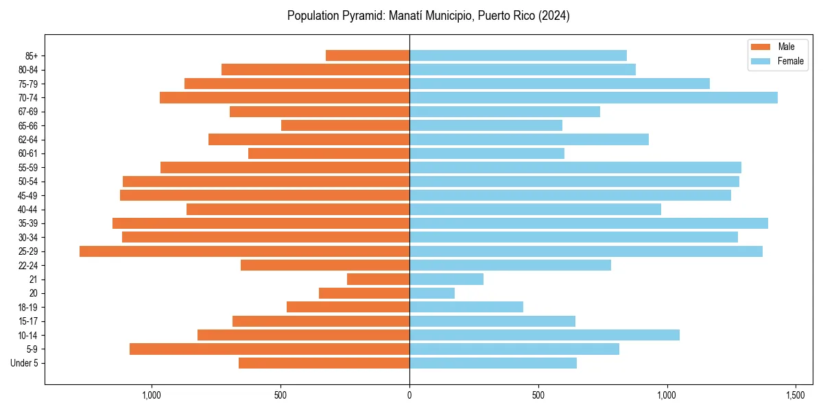 Population pyramid for 