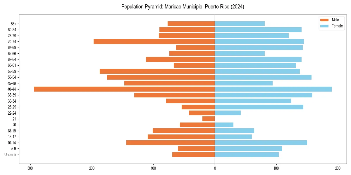 Population pyramid for 
