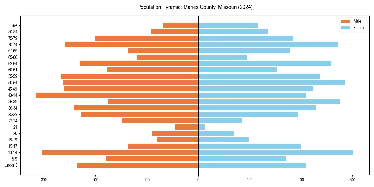 Population pyramid for 