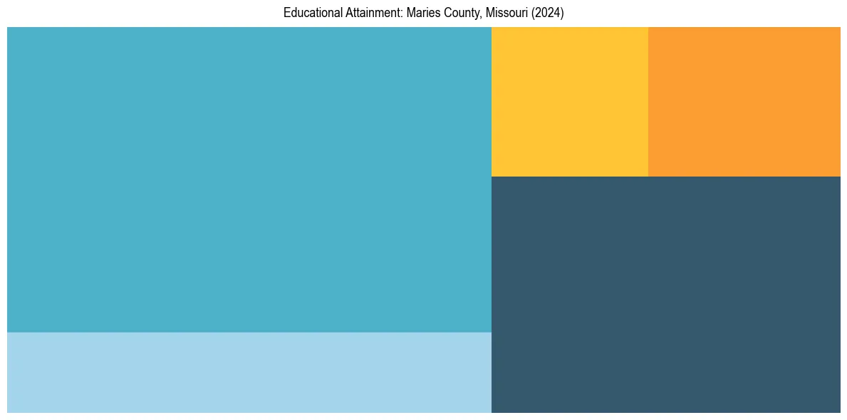 Education Treemap for  in 2024