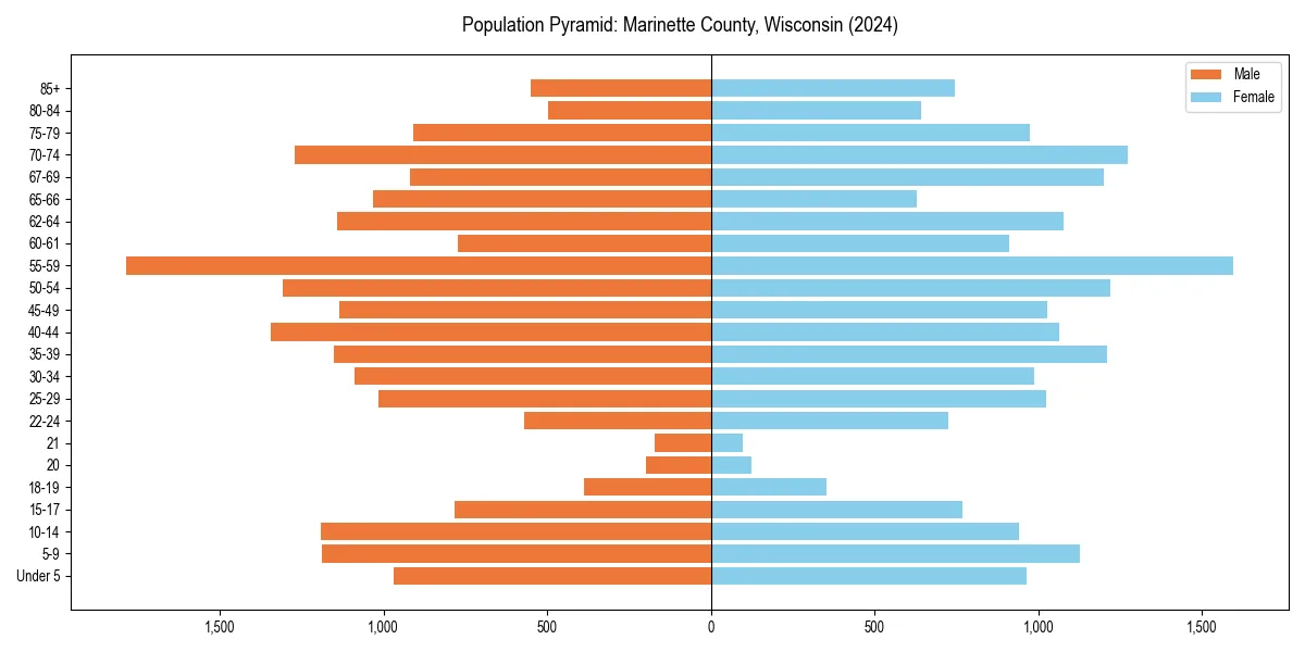 Population pyramid for 
