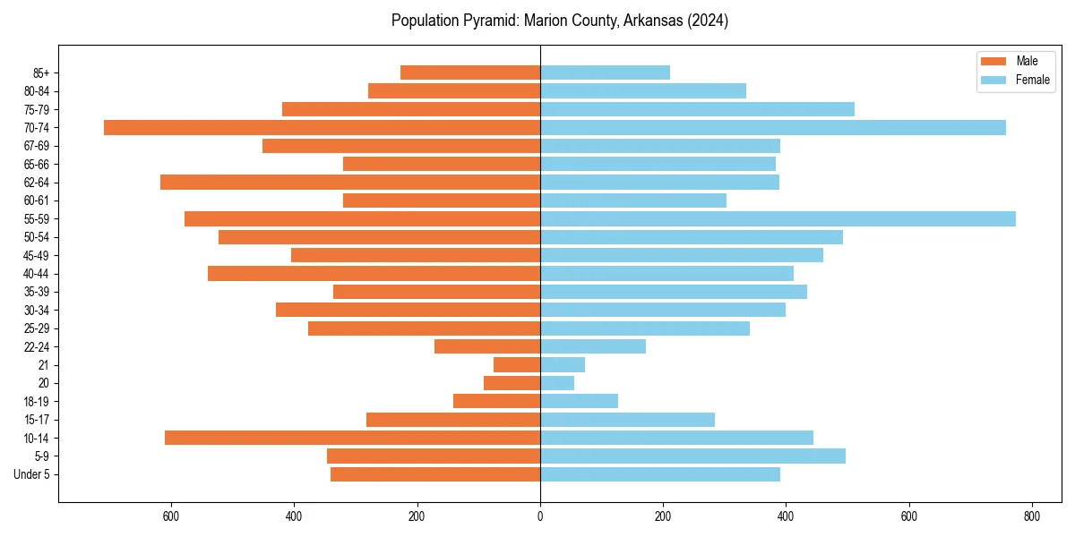 Population pyramid for 