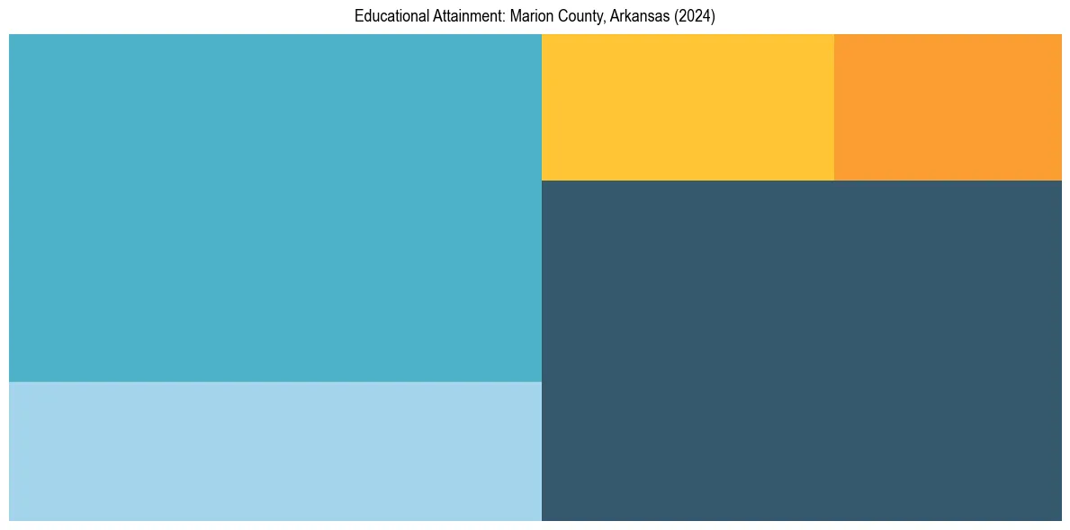 Education Treemap for  in 2024