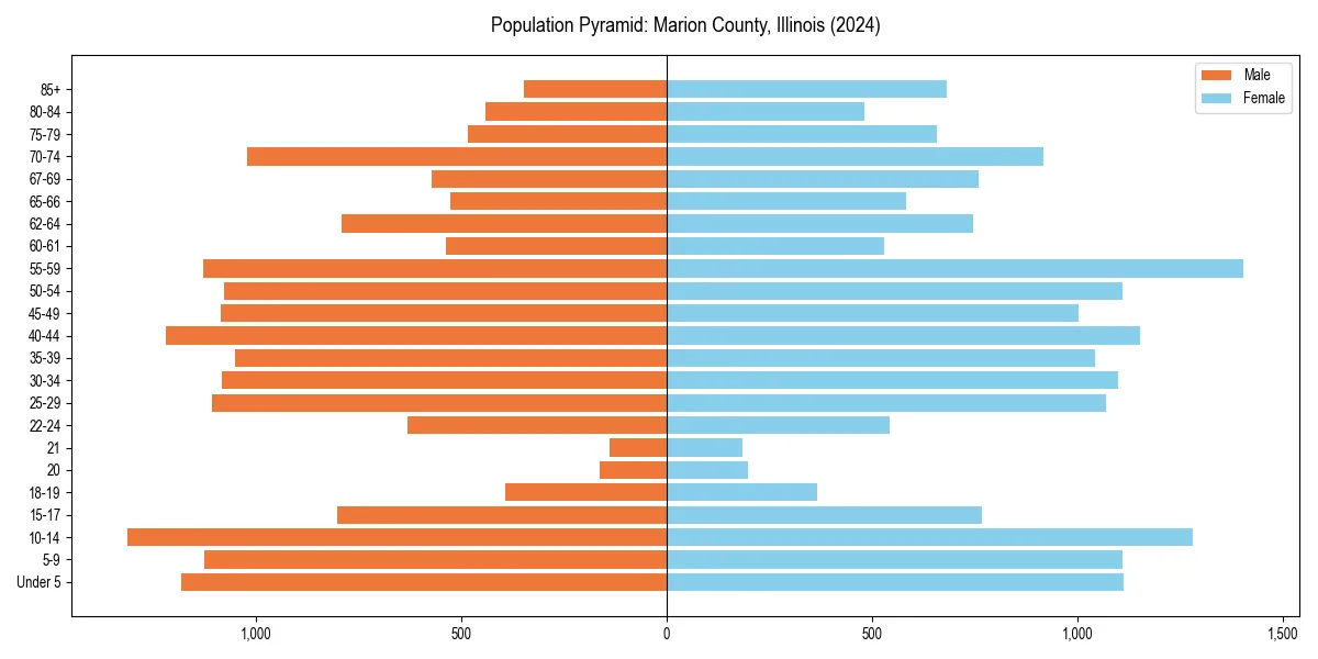 Population pyramid for 