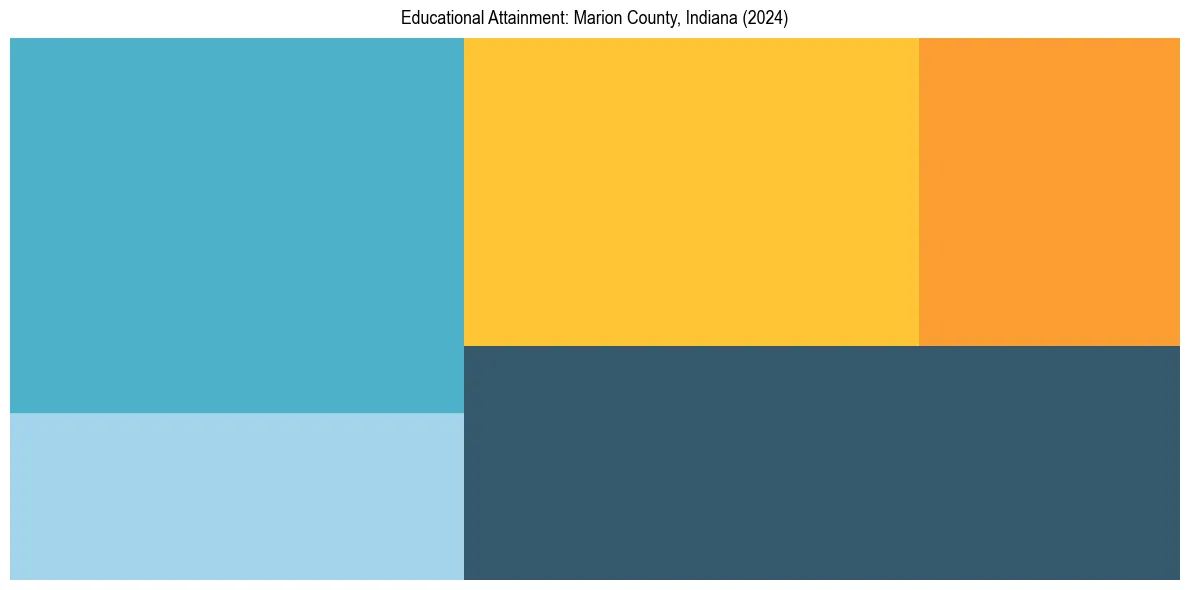 Education Treemap for  in 2024