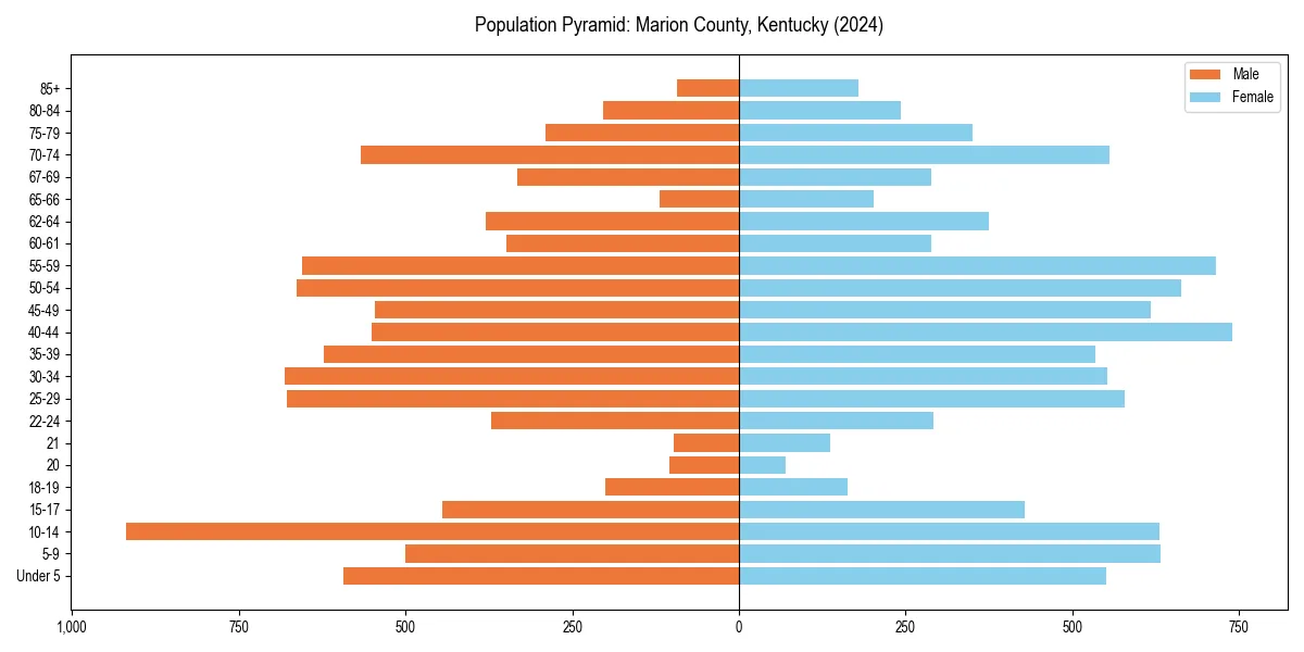 Population pyramid for 