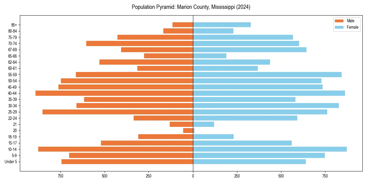 Population pyramid for 