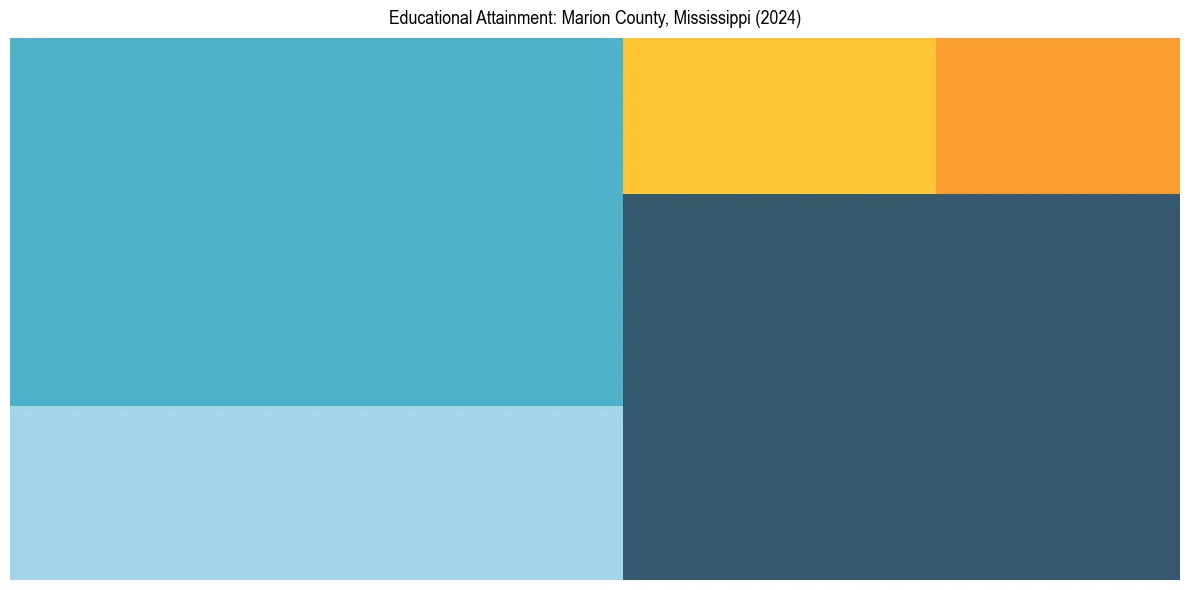 Education Treemap for  in 2024