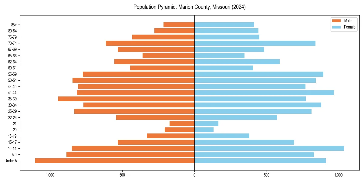 Population pyramid for 