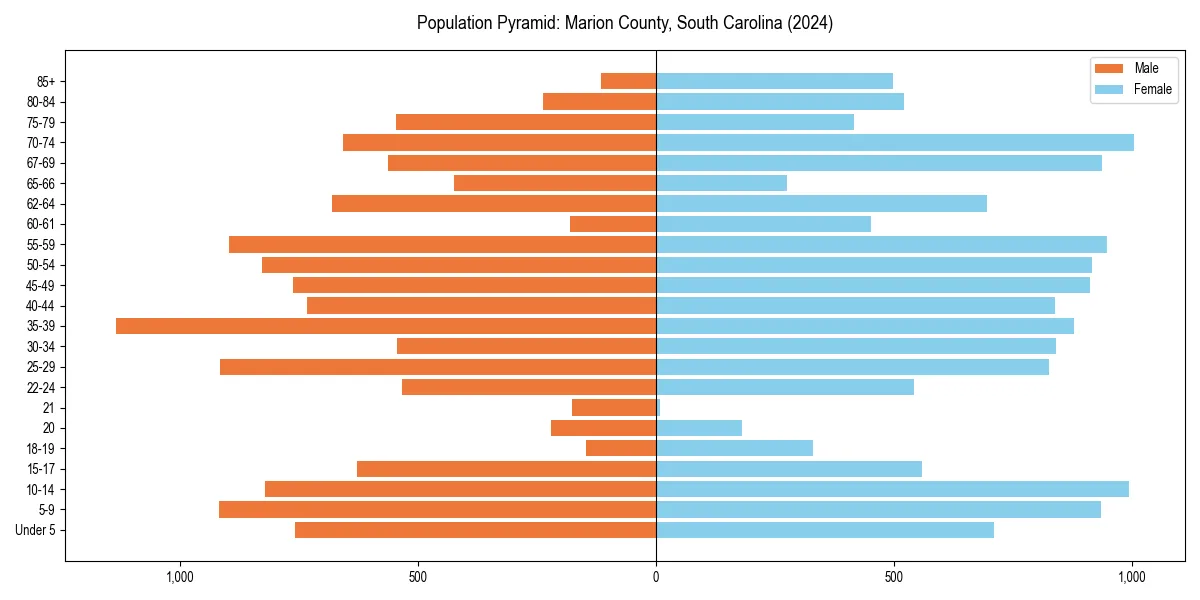 Population pyramid for 