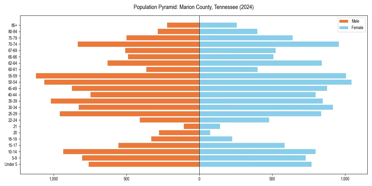 Population pyramid for 