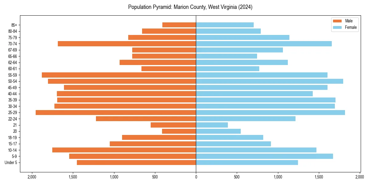 Population pyramid for 