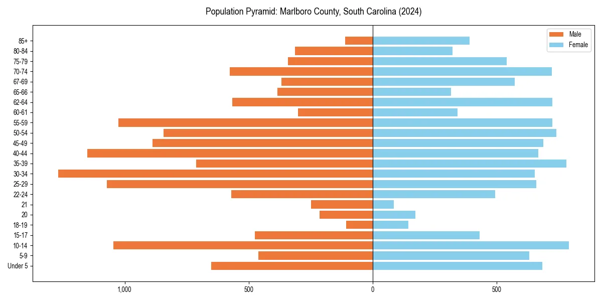 Population pyramid for 