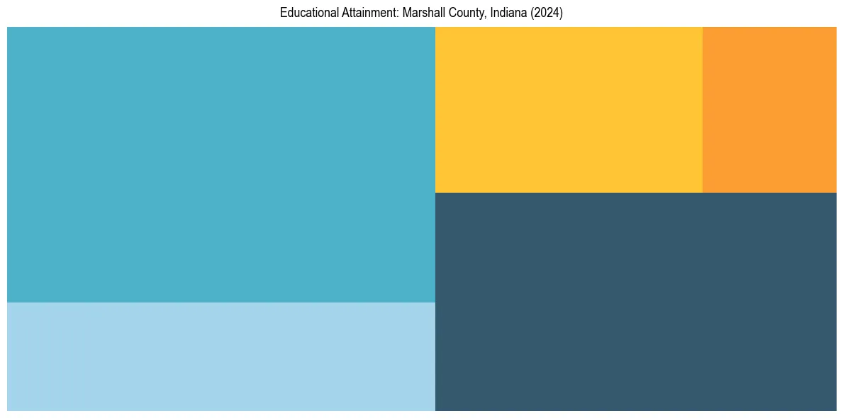 Education Treemap for  in 2024