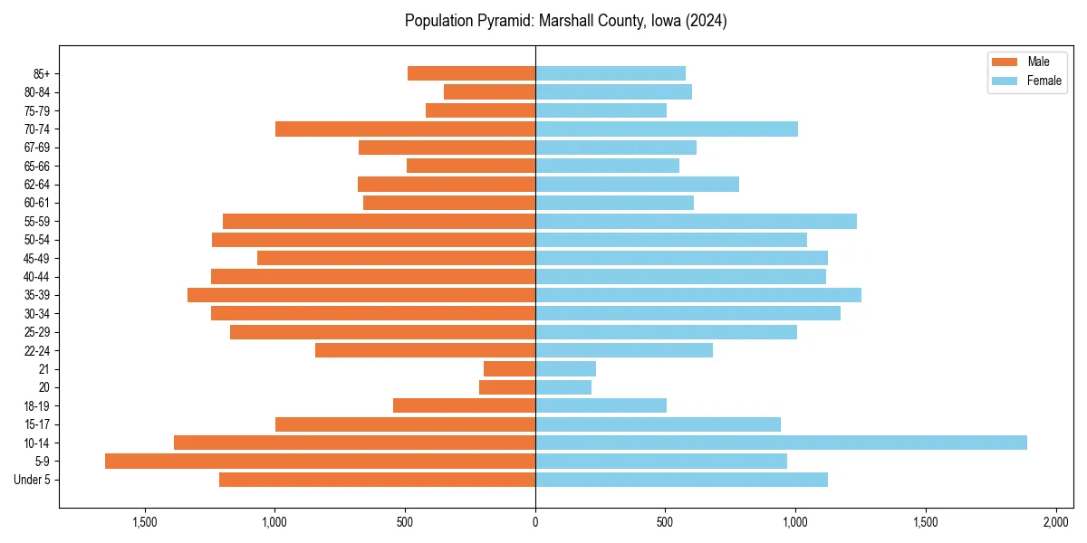 Population pyramid for 