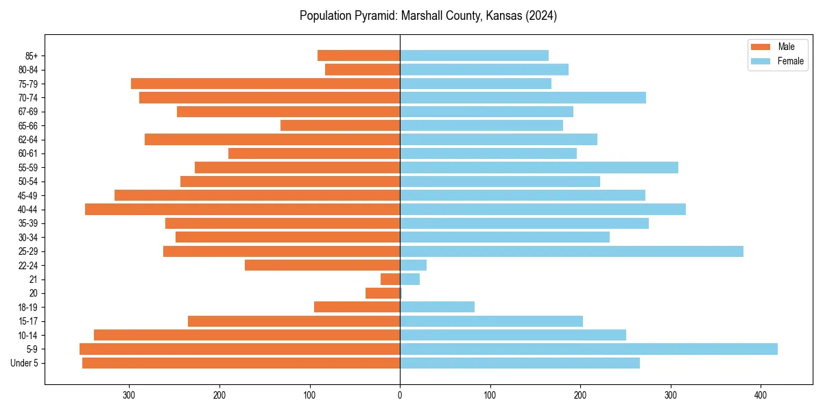 Population pyramid for 