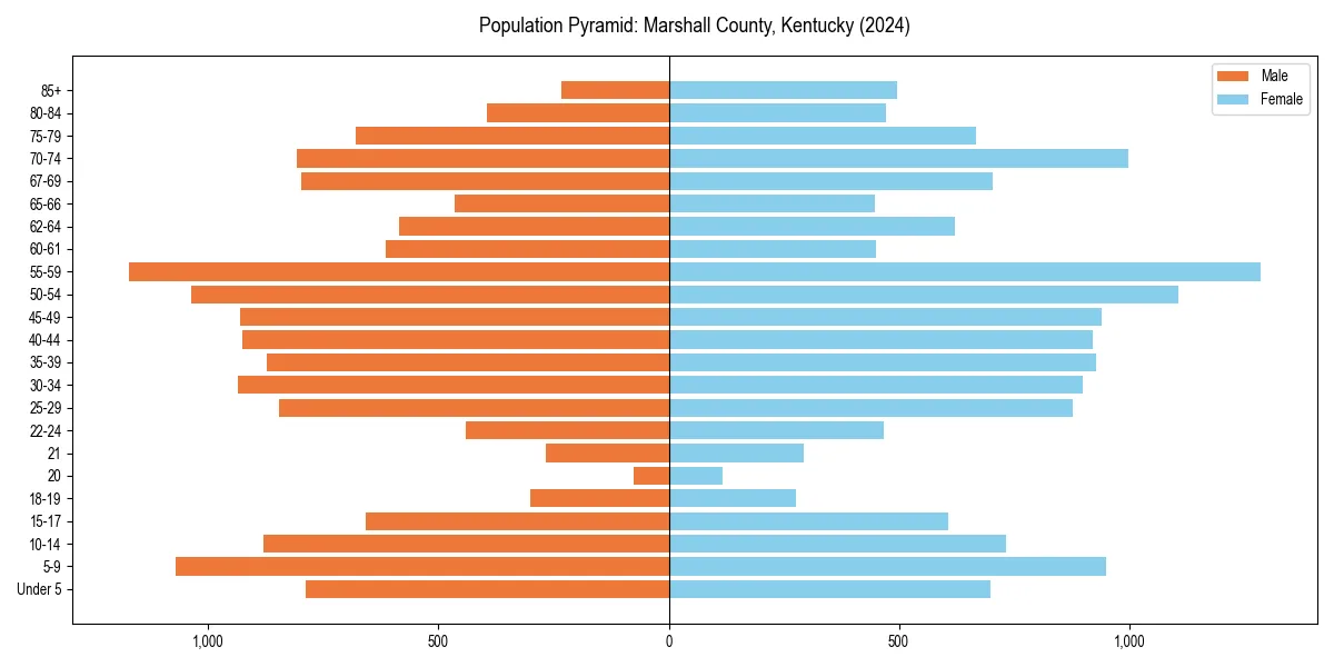 Population pyramid for 