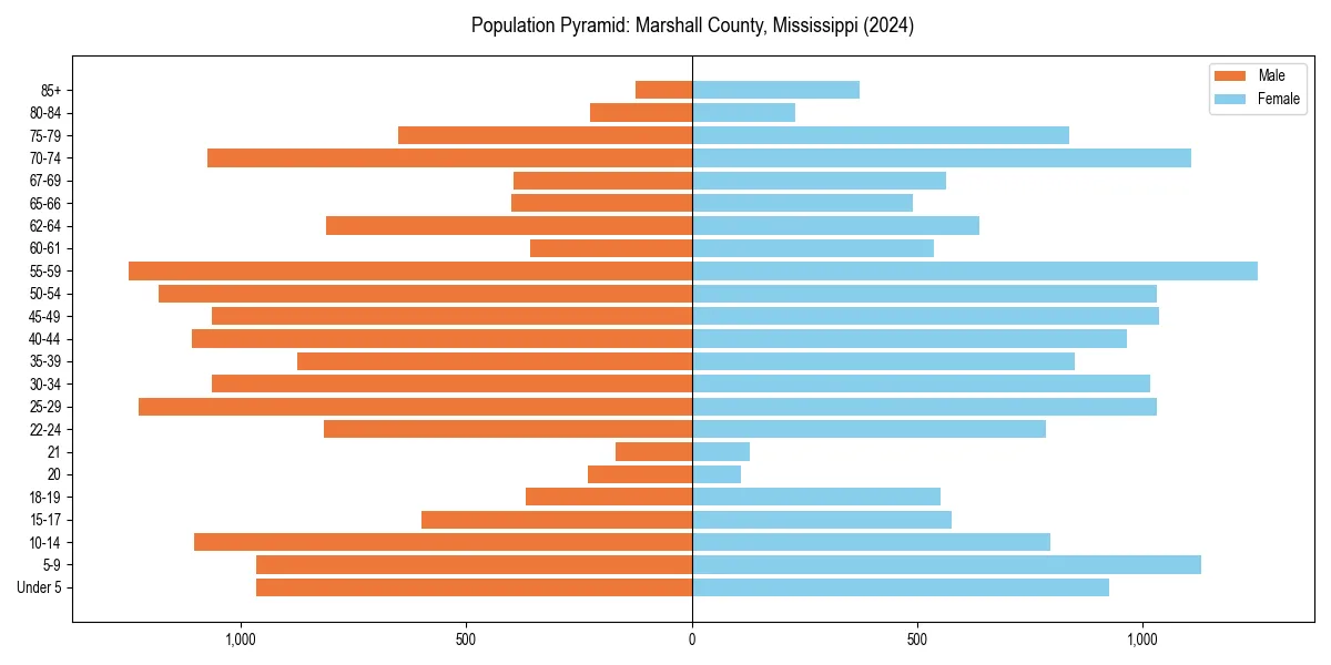 Population pyramid for 