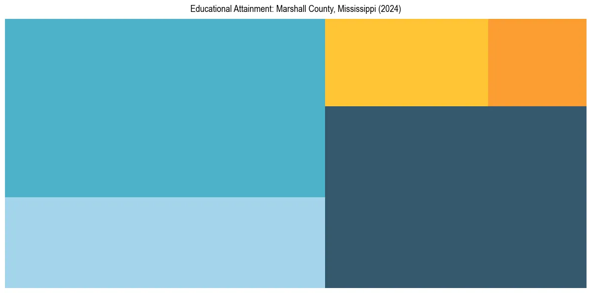Education Treemap for  in 2024