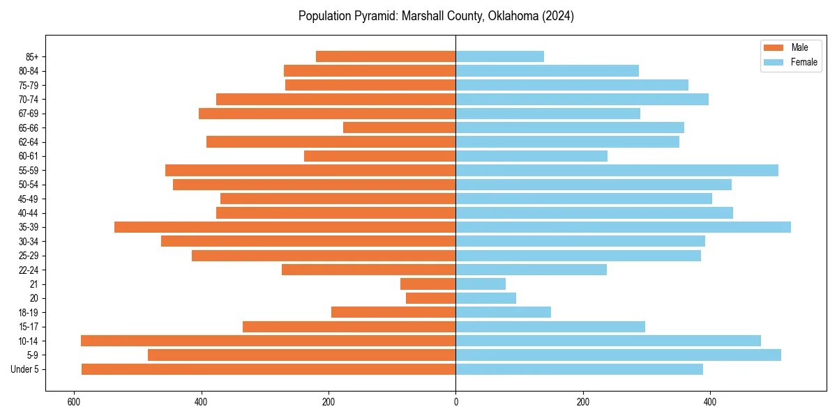 Population pyramid for 