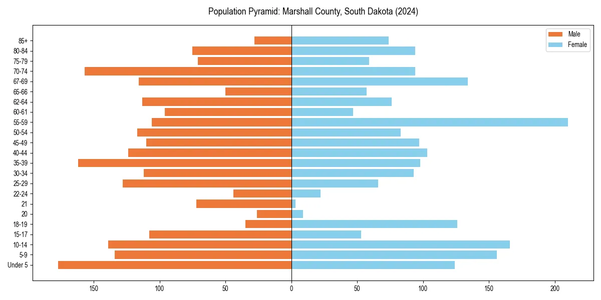 Population pyramid for 